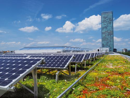 Green roof and photovoltaics